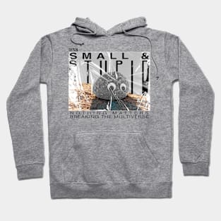 small and st*pid Hoodie